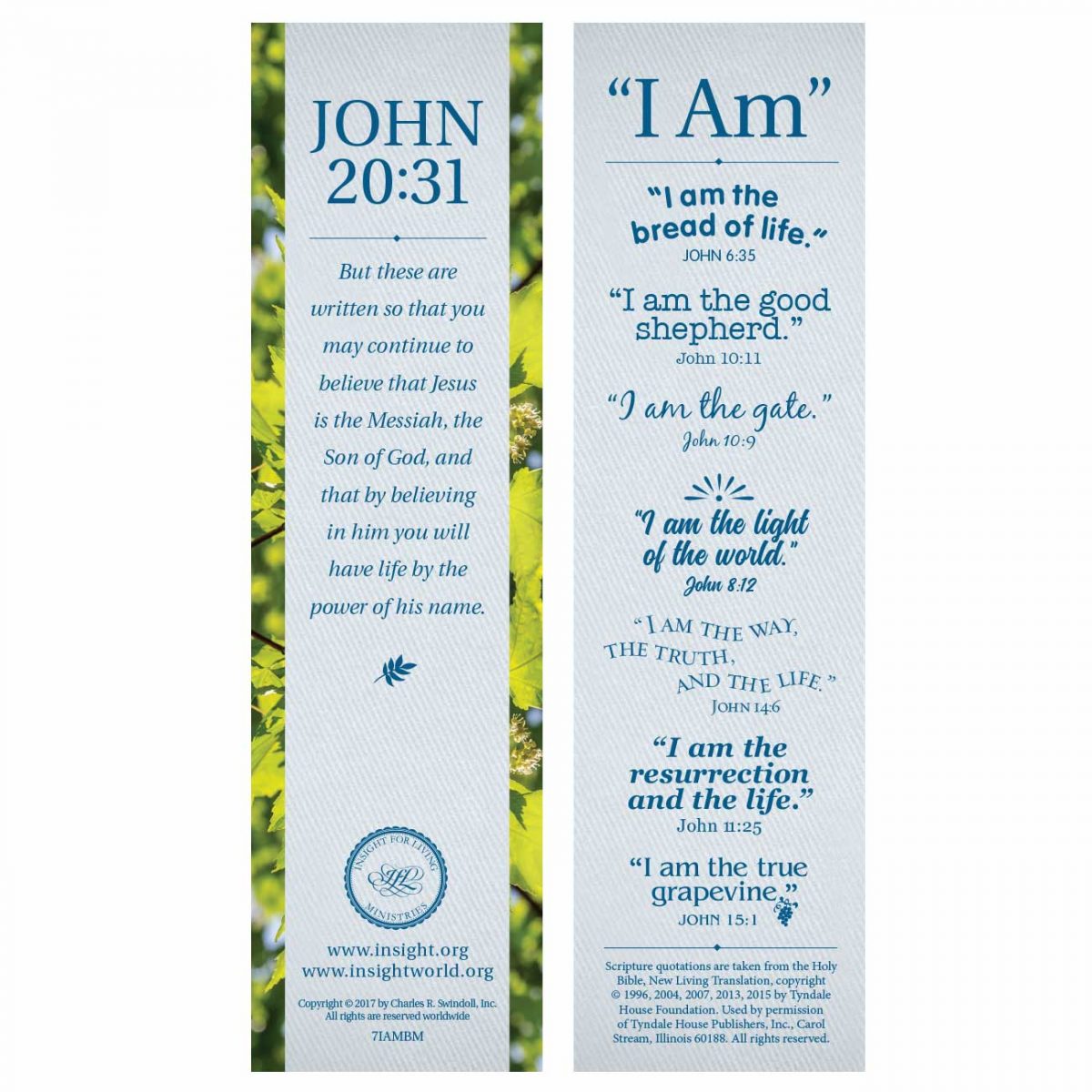 THE 7 IAMs BOOKMARK