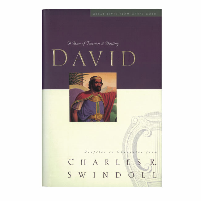 DAVID: A MAN OF PASSION AND DESTINY, paperback book