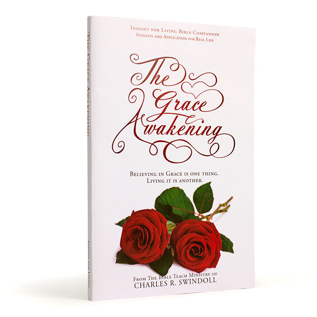 THE GRACE AWAKENING BIBLE COMPANION