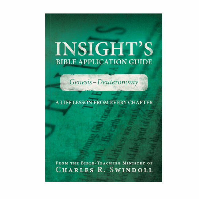 INSIGHT'S BIBLE APPLICATION GUIDE: Genesis - Deuteronomy, paperback book