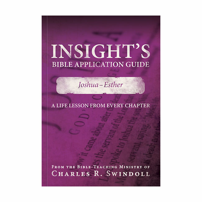 INSIGHT'S BIBLE APPLICATION GUIDE: Joshua-Esther, paperback book