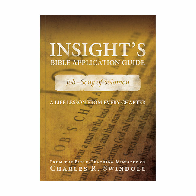 INSIGHT'S BIBLE APPLICATION GUIDE: Job - Song of Solomon