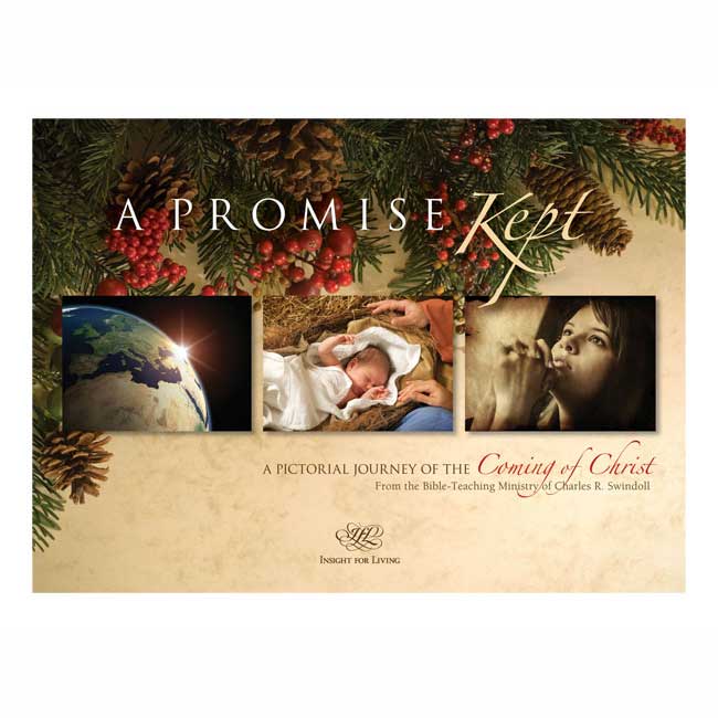 A PROMISE KEPT: A Pictorial Journey of the Coming of Christ, paperback book