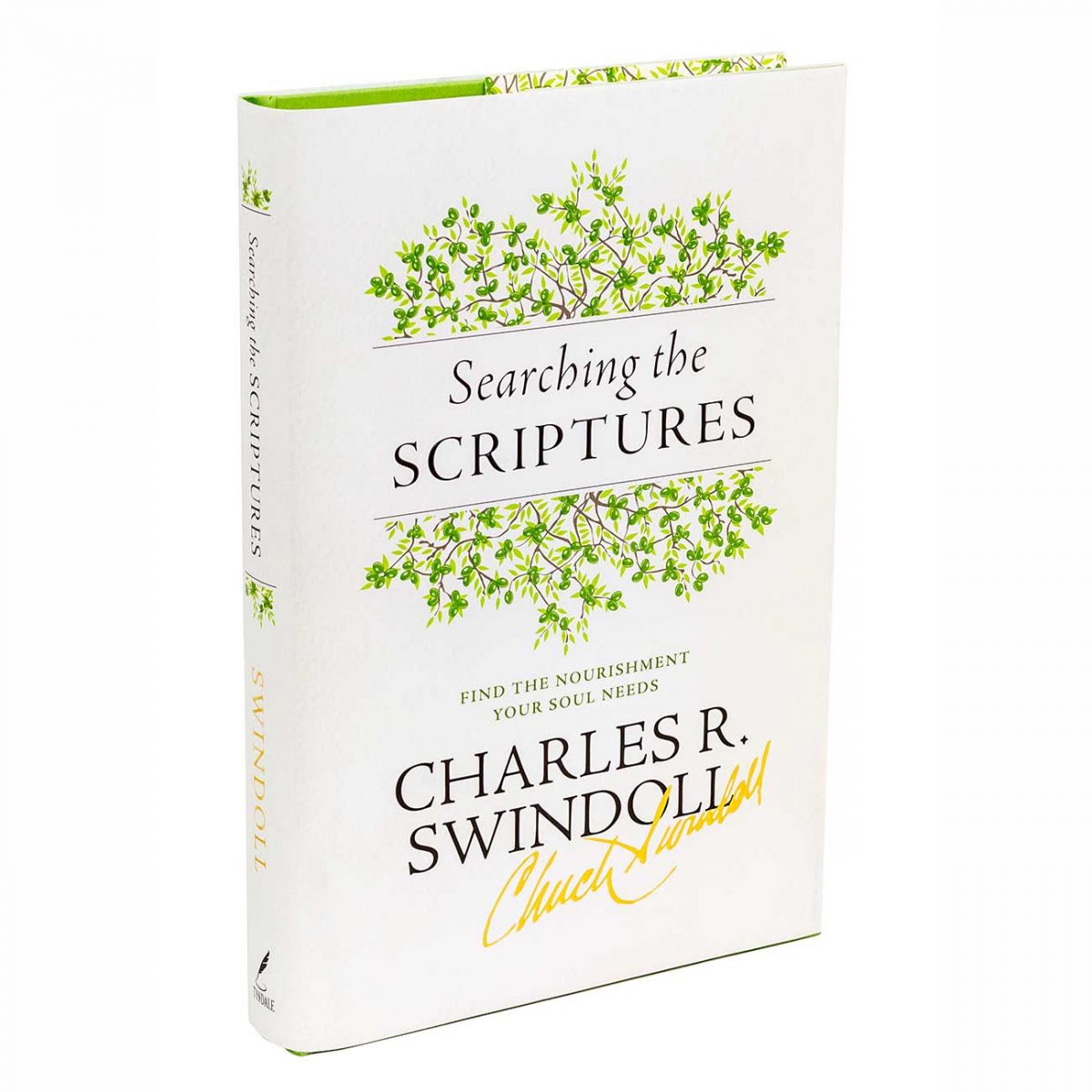 SEARCHING THE SCRIPTURES: Find the Nourishment Your Soul Needs, hardback book