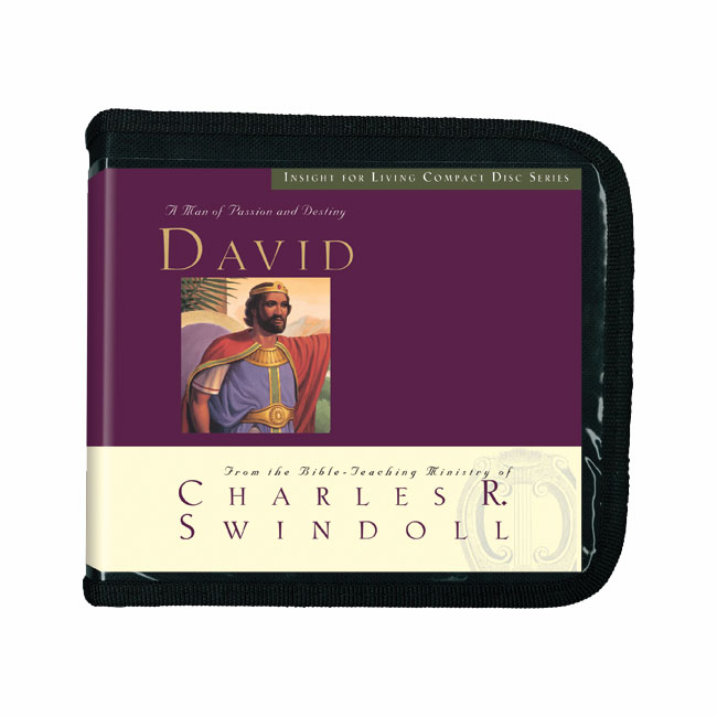 David: A Man of Passion & Destiny series